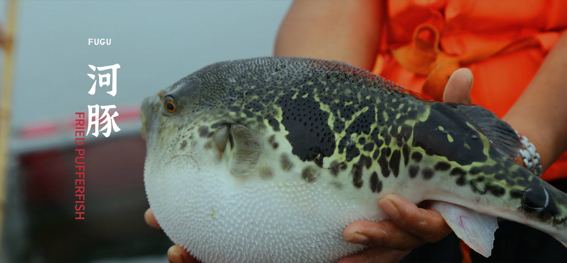 首页| 918博天堂中国官方网站