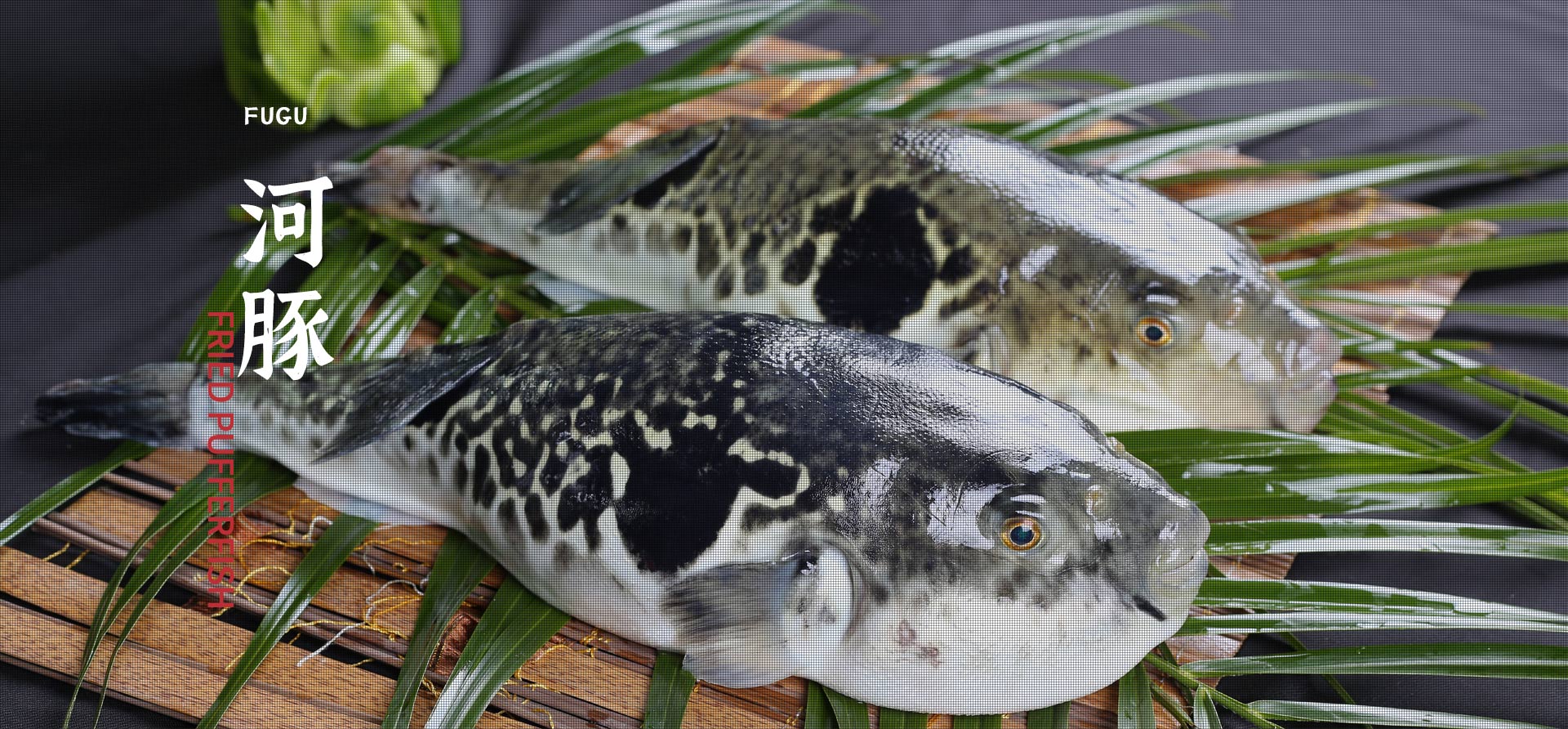 首页| 918博天堂中国官方网站